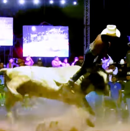 never smoke around mexican bulls