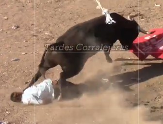 bulls fucking victims at the bull festivities in colombia