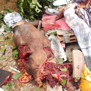 (Full) Dude Made Dynamite For Catching Fish But Did Something Wrong And He Was Torn To Pieces