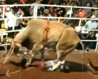 Mexican bulfighter trampled to death