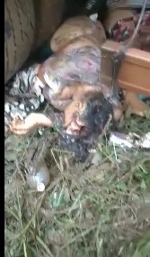 Terrible accident in Para , brazil