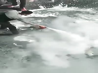 Protestor sets fire to his body