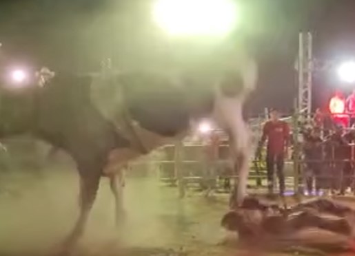 hey cowboy you fucked up