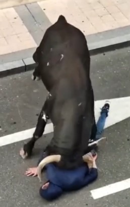 drunk from Portugal was destroyed in Seville