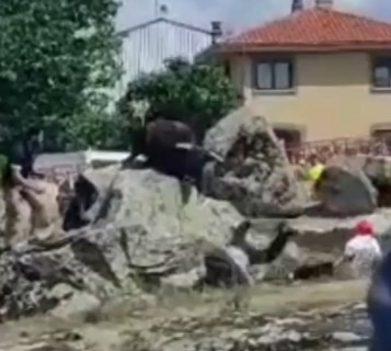 Old man beaten to death by bull in street race