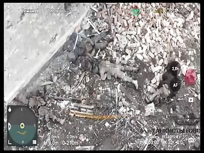 Ukrainian Detail Wiped Out