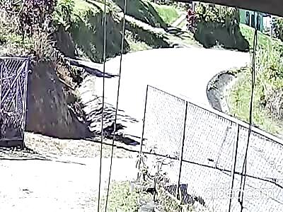 Man dies when his motorcycle crashes into a bus