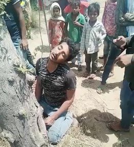 Top Syrian Shows and Musicals for Kids