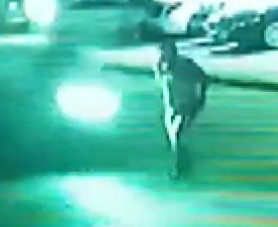 Motorcyclist Slams Into a Pedestrian