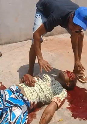 Natural Wonders of Brazil