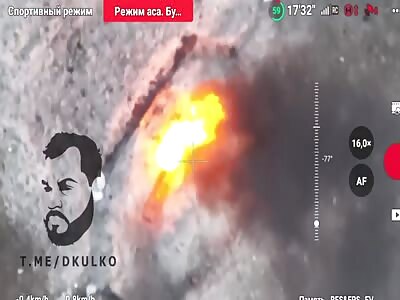 Stop-drop-and-Rolleo & Juliet