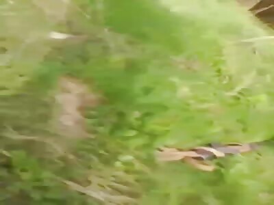 When you remember you're fighting Russians.