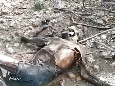 Corpse found decaying