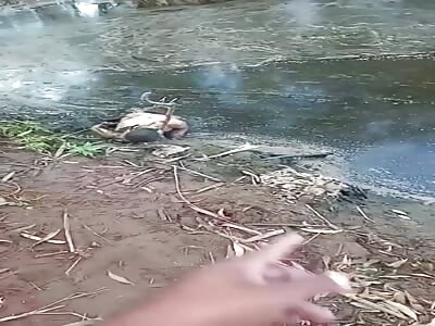 they fish for corpses