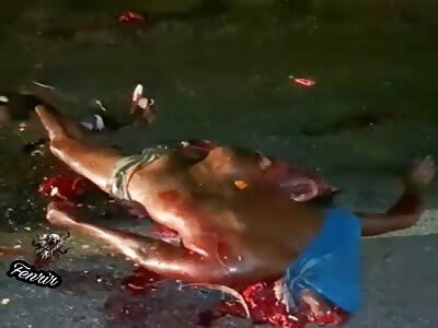 Biker destroyed by truck.