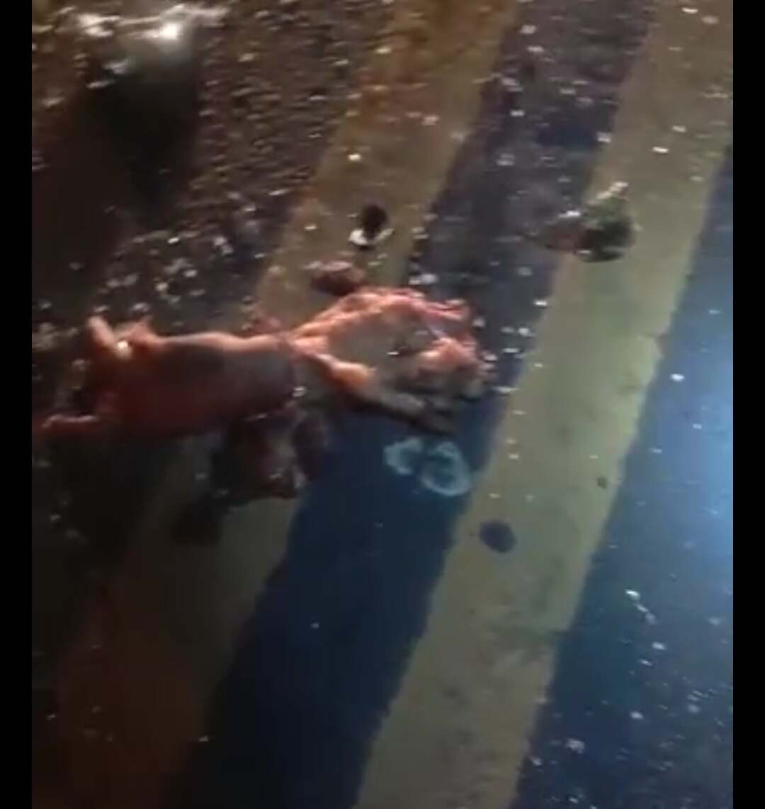 A serious accident scatters human remains and corpses on the asphalt.