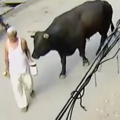 Only In India Compilation Part 1