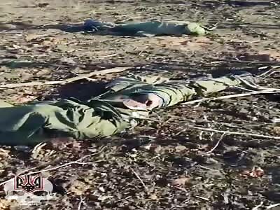 Russian fertilizer in Ukraine