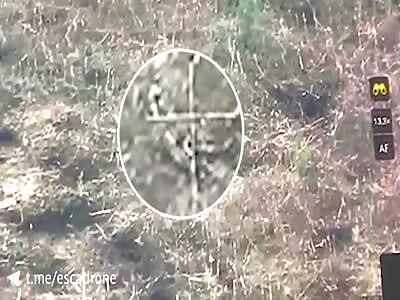 Kamikaze Drone Hunts Orcs...