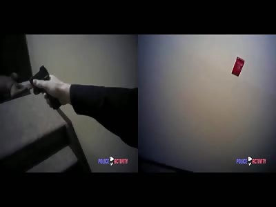 Bodycam Shows Police Shoot Man Armed With Knife in Maryland