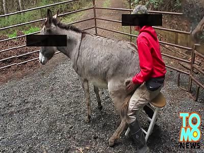 WTF Did I Just Watch...???