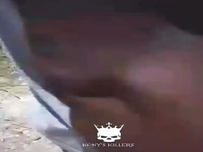 In Saint Michel de Lataly, a young man got stab and set on 