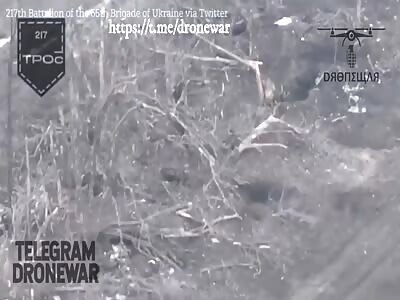 Look! Flying toilet papers!