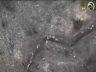 Russian soldiers hit by drone attacks in the Bakhmut area (compilation) 