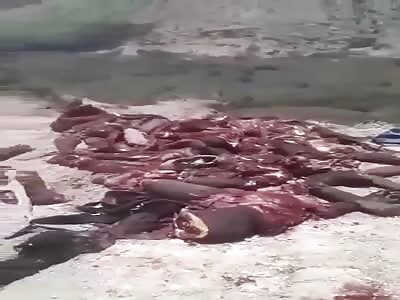 Enemies dismembered in Haiti.