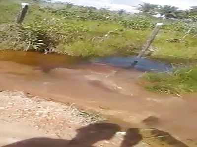 Normal Day in Brazil 