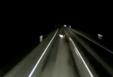 Suicidal aroo Ends It's Own Life 