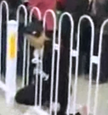 New Camera Angle of the Pregnant Woman Dead on the Fence 