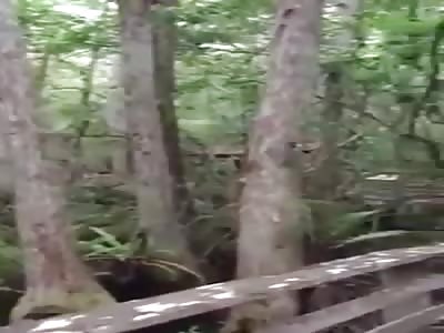 In a Hurry..Cant Talk!! 