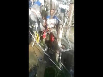 Hard to See:  Wooden Steak through Workers Body 