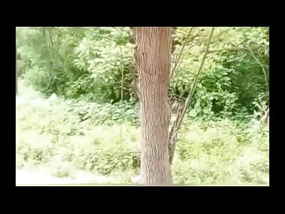 A Man's Final Moment Captured on Film..He Dived into a Shallow Water Channel and Died from Drowning