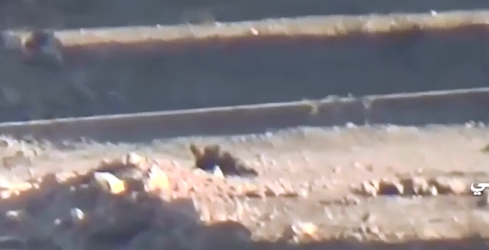 Soldier All Alone in Open Field is Sniped At and Finally Killed 