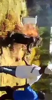 Screaming Thief is Necklaced Set on Fire Nearly Burned Alive 