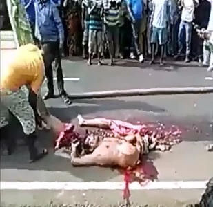 Body Complete Ripped in Half 