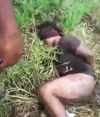 Brutal Murder..And they are Having a LOT of Fun doing It..