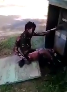 Copper Thief Fried to the Bone 