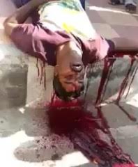 Absolute Bloody Mess Crime Scene 