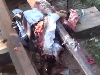 Collision between Train and Vehicle leaves Bodies in Pieces..Kids Witness 