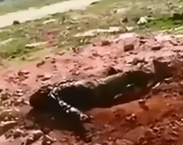 An Already Wounded Daesh Member Executed by Soldiers