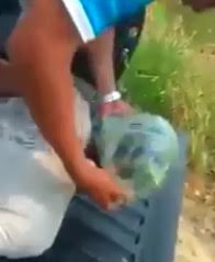 Bizarre New Torture Method with a Plastic Bag...