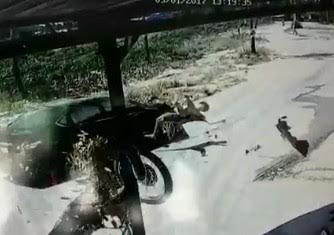 Rider Fatally struck by Car in Brutal Impact 