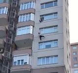 Man tries to Save a Woman but she falls to Death