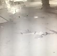 Rider dies in Brutal Collision against car and pole 