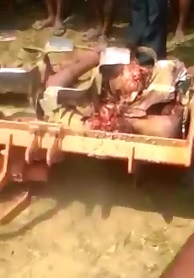 Horrible Work Accident..Man somehow Fell in a Backhoe 