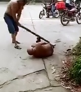 Ive Been Caught Stealing..Once. When I was Five...Well this Guy is a Little Older 