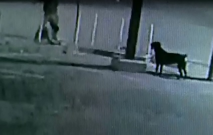 Barbaric Beating to Death Caught on Cam..Man Bludgeons another with a Large Piece of Wood 